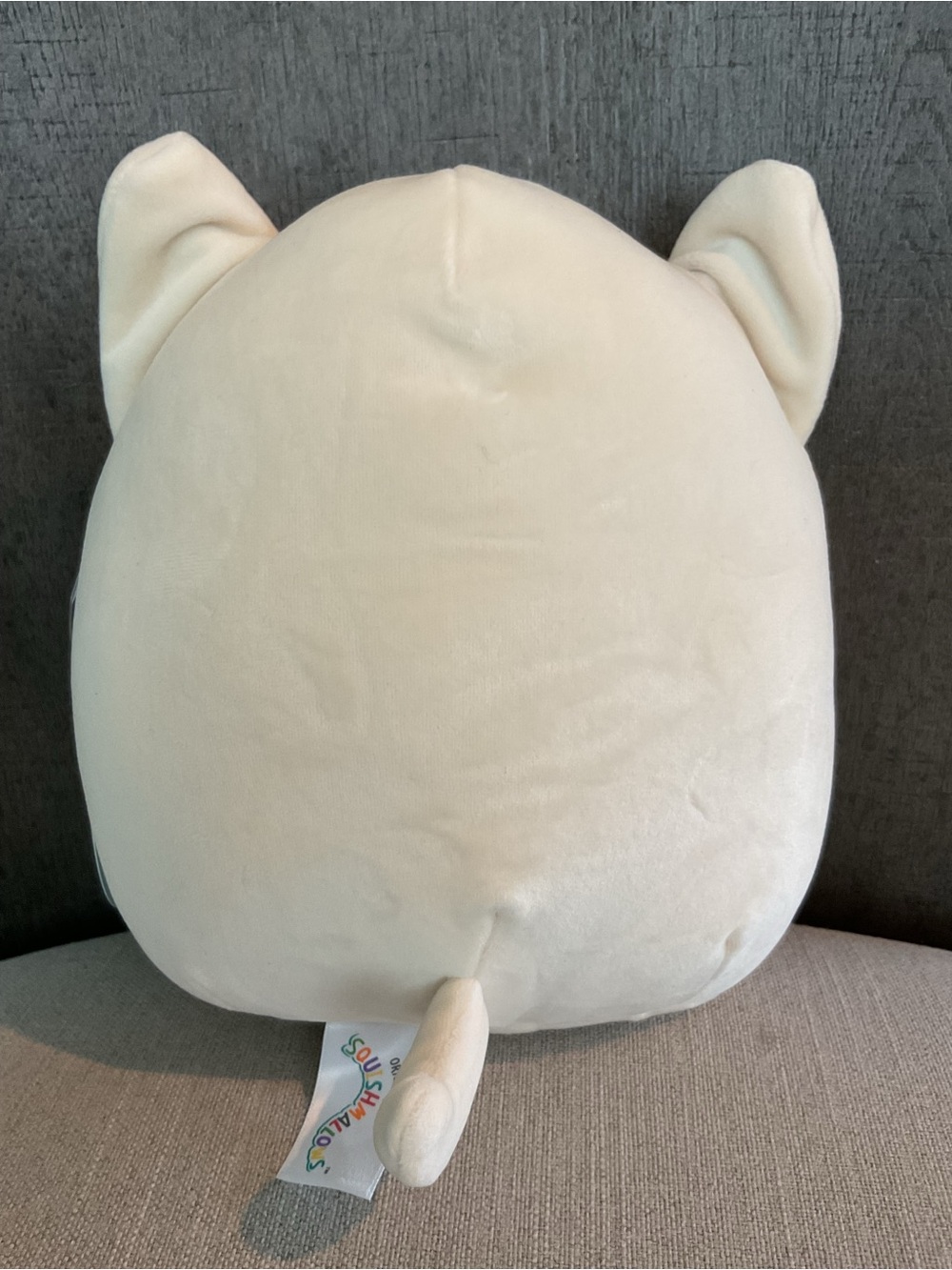 NWT Squishmallows Taghi the Bull Terrier Dog 8" Plush – FLAWED - Picture 4 of 10